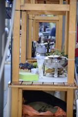 41716458_230103397857801_8895137532149235712_n