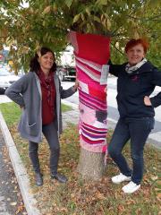 Resized_20181002_131828_3117