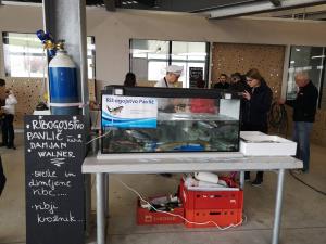 53739938_2162137690762986_3973082565434146816_n