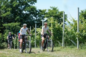 Koelsarska pot z e-kolesi