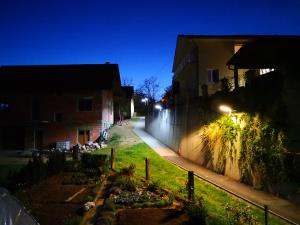 JavnaRazsvetljavaKSLeskovecFotoAlešKranjčevič