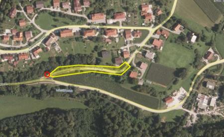 241454531_208371344667905_3423045156399273446_n