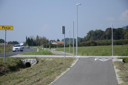 VečnamenskaPOtDolenjVas