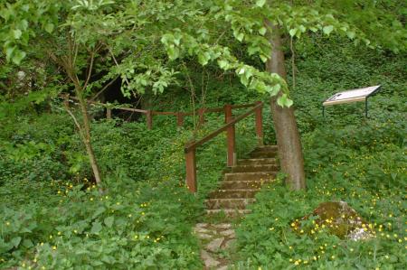 AJ_nova_info_tabla_desni_dostop