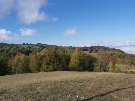 122017436_10223277935634765_434562584142280695_n