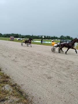 350660043_567300772221558_3919199113295048723_n