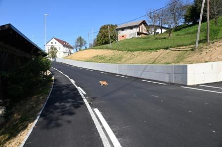 Rekonstruirana cesta na Velikem Trnu