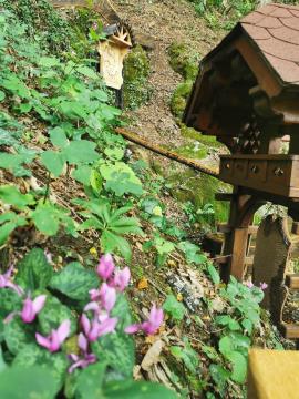 Obnovljen in urejen izvir Dul