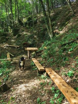 Obnovljen in urejen izvir Dul