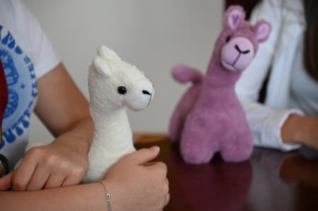 Alpaka - maskota tekmovanja