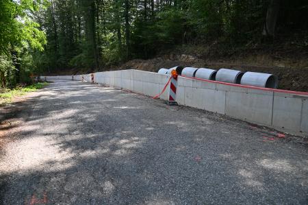 Lovska cesta v Brestanici