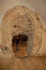 Obnova gradu Rajhenburg