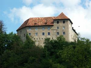 Obnova gradu Rajhenburg