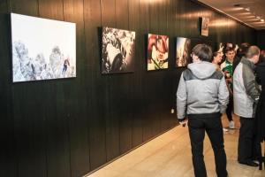 Sprejem sportnikov občine Krško za leto 2015