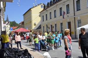 Naj prostovoljec 2015 Tone Salmič, naj prostovoljska organizacija PGD Veliki Kamen