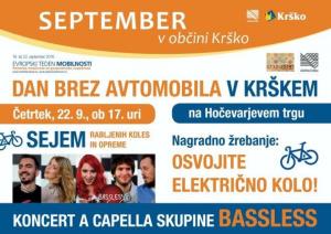 DanBrezAvtomobilaManjša