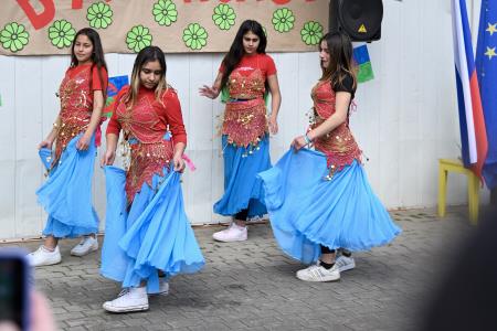 V Kerinovem Grmu obeležili svetovni dan Romov