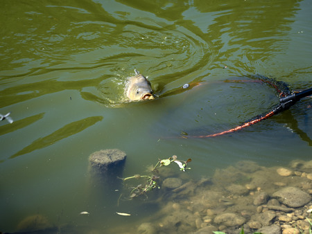 Ribiški tabor za mlade 
