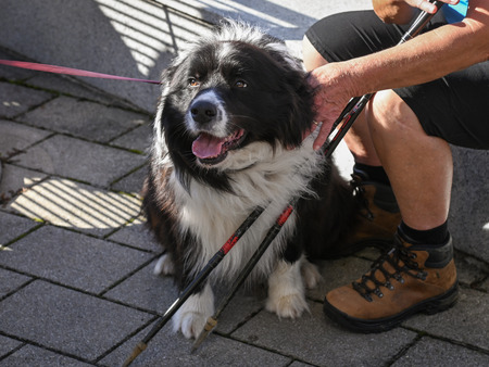 Pohod po mestni četrti Leskovec pri Krškem 