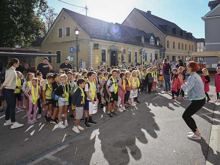 Dan brez avtomobila v Krškem