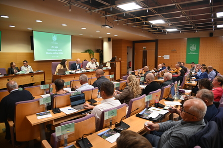 S 25. redne seje Občinskega sveta Mestne občine Krško