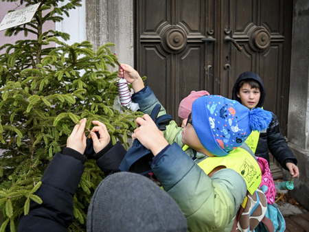 Otroci in župan okrasili smrečice v starem mestnem jedru