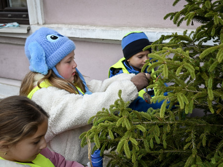 Otroci in župan okrasili smrečice v starem mestnem jedru