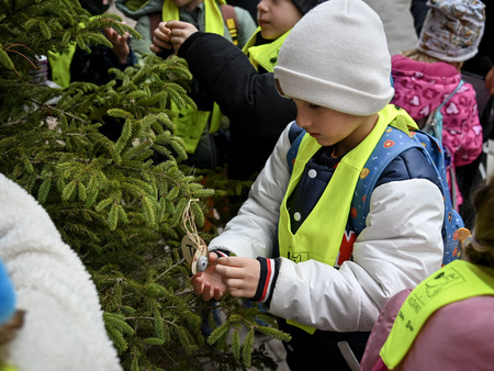 Otroci in župan okrasili smrečice v starem mestnem jedru
