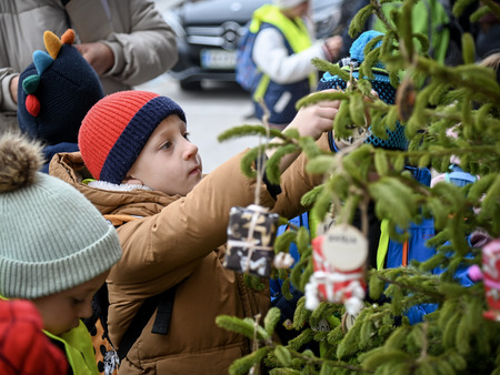 Otroci in župan okrasili smrečice v starem mestnem jedru