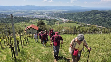 8. tradicionalni vinogradniški pohod
