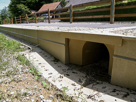 Obnovljena cesta na ribnik v Stolovniku