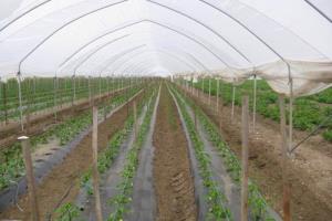 ObdelovalnePovršine