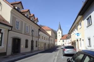 StaroMestnoJedroKrškega