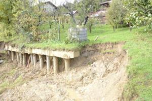 Veniše