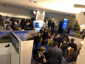 IMG-72e16d83858a8cac09f625f440e09ae4-V