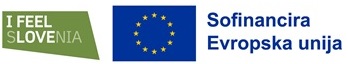 LOGO EU SLO